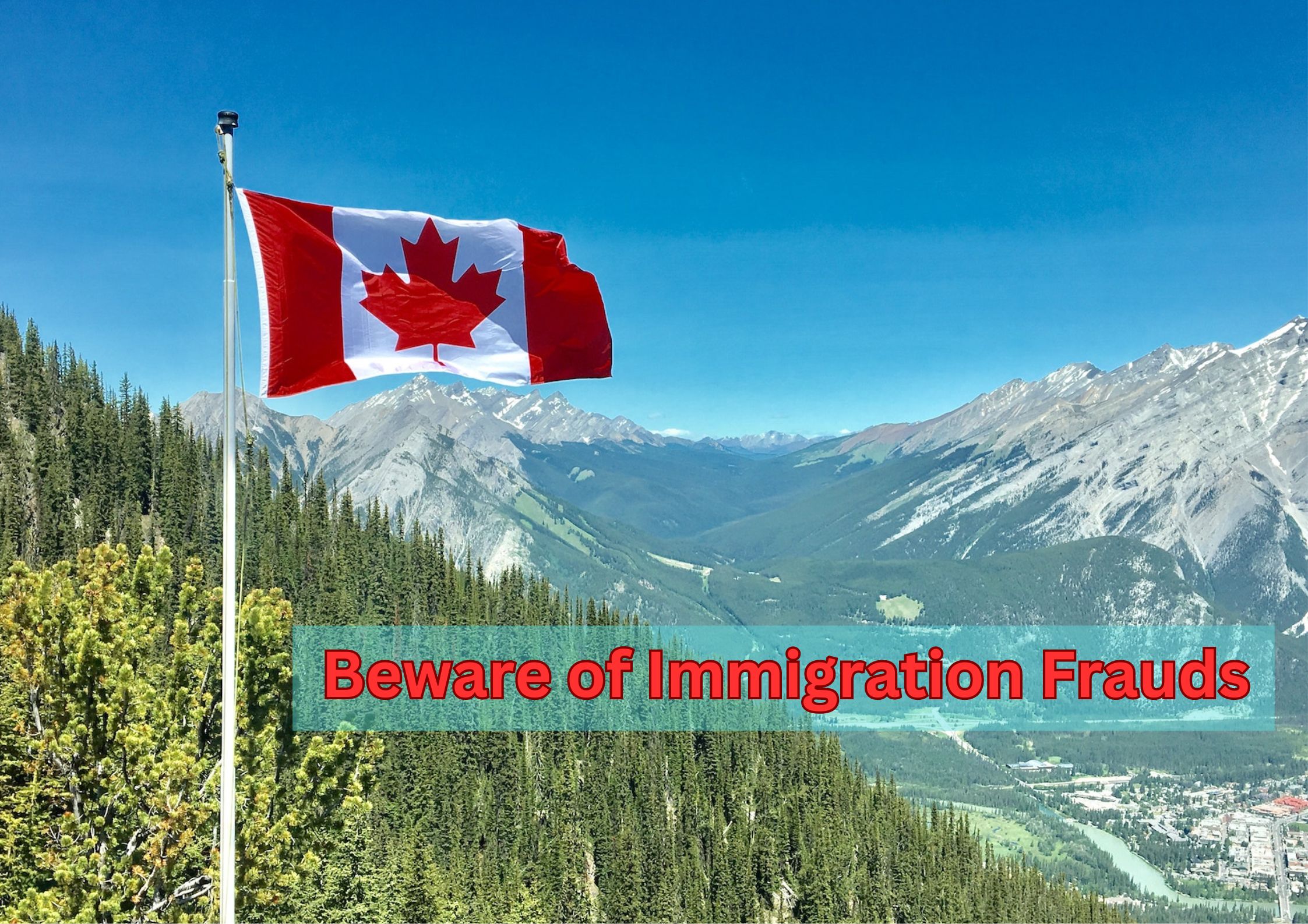 Immigration Frauds: How to Stay Safe from Immigration Deceit? WVP ...
